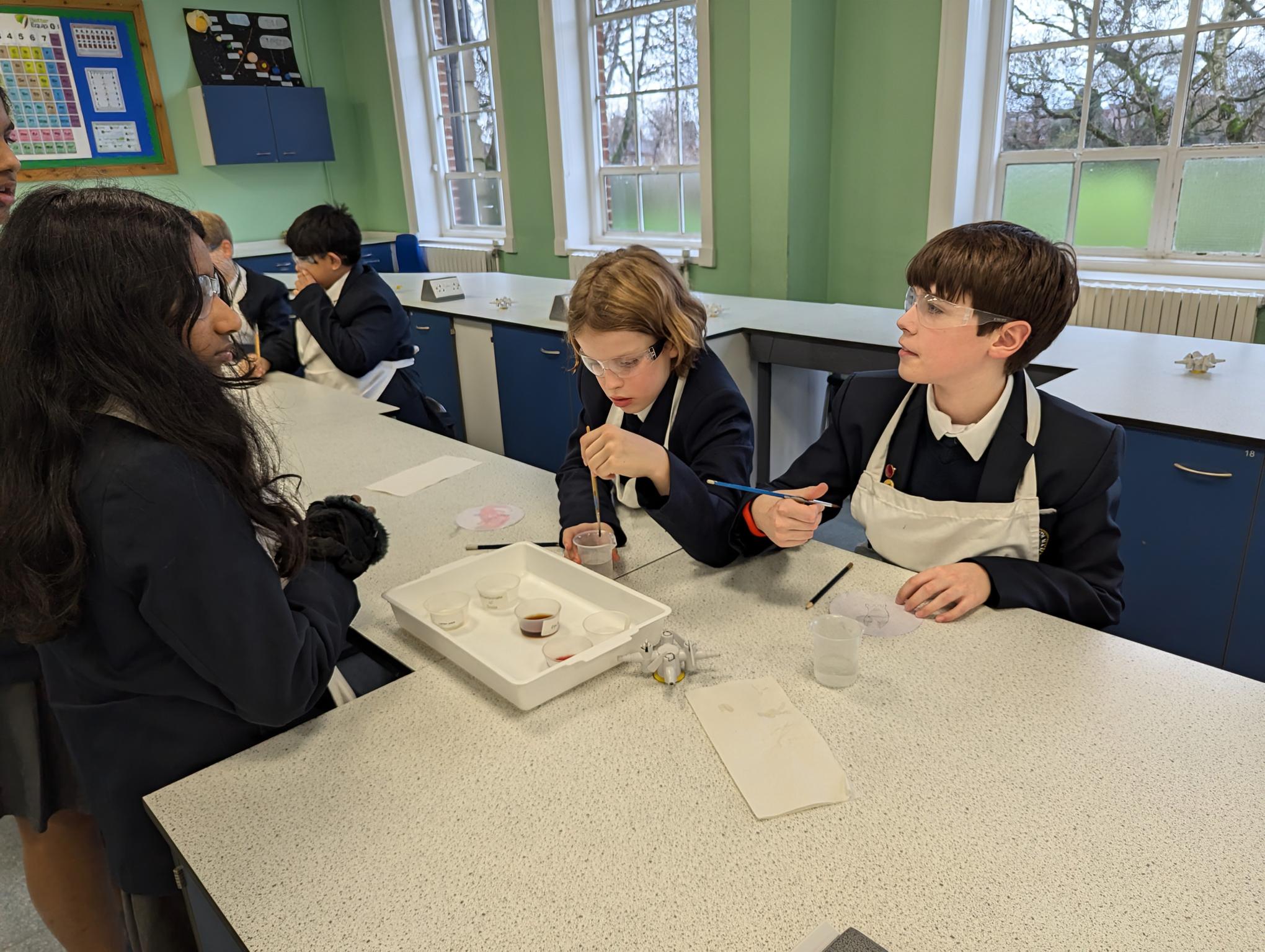 Urmston Grammar School - Science Club Test Reactions